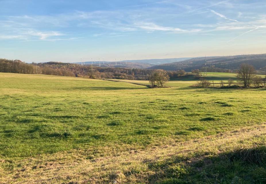 Ferienwohnung Inmitten Der Natur Mit Sauna Steinau an der Straße Buitenkant foto