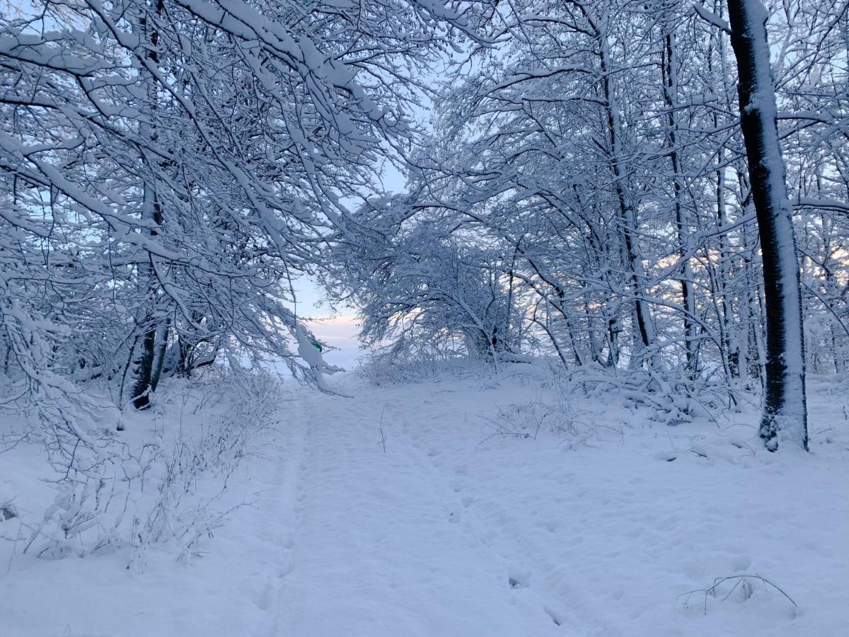 Ferienwohnung Inmitten Der Natur Mit Sauna Steinau an der Straße Buitenkant foto